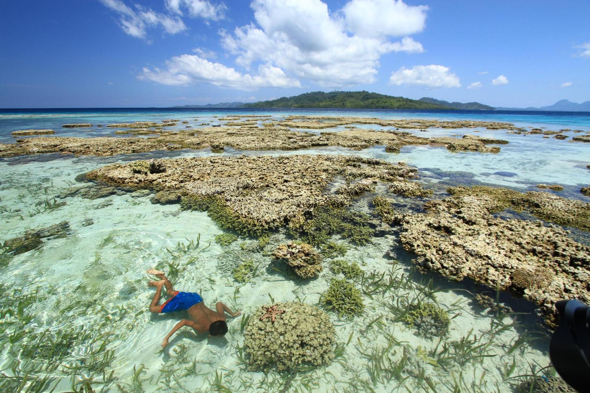 Bolilanga Island Resort - Togean Island Angkayo Dış mekan fotoğraf