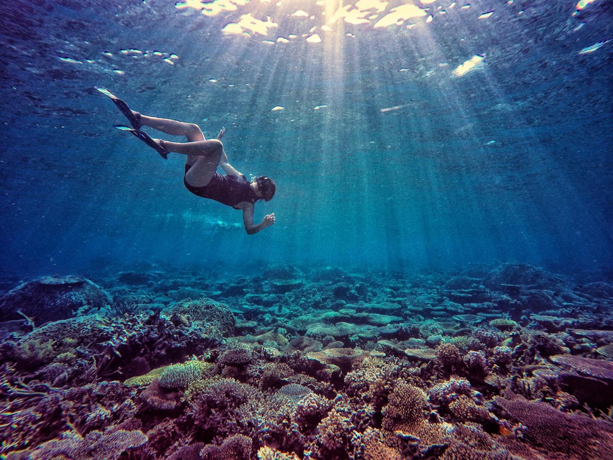 Bolilanga Island Resort - Togean Island Angkayo Dış mekan fotoğraf